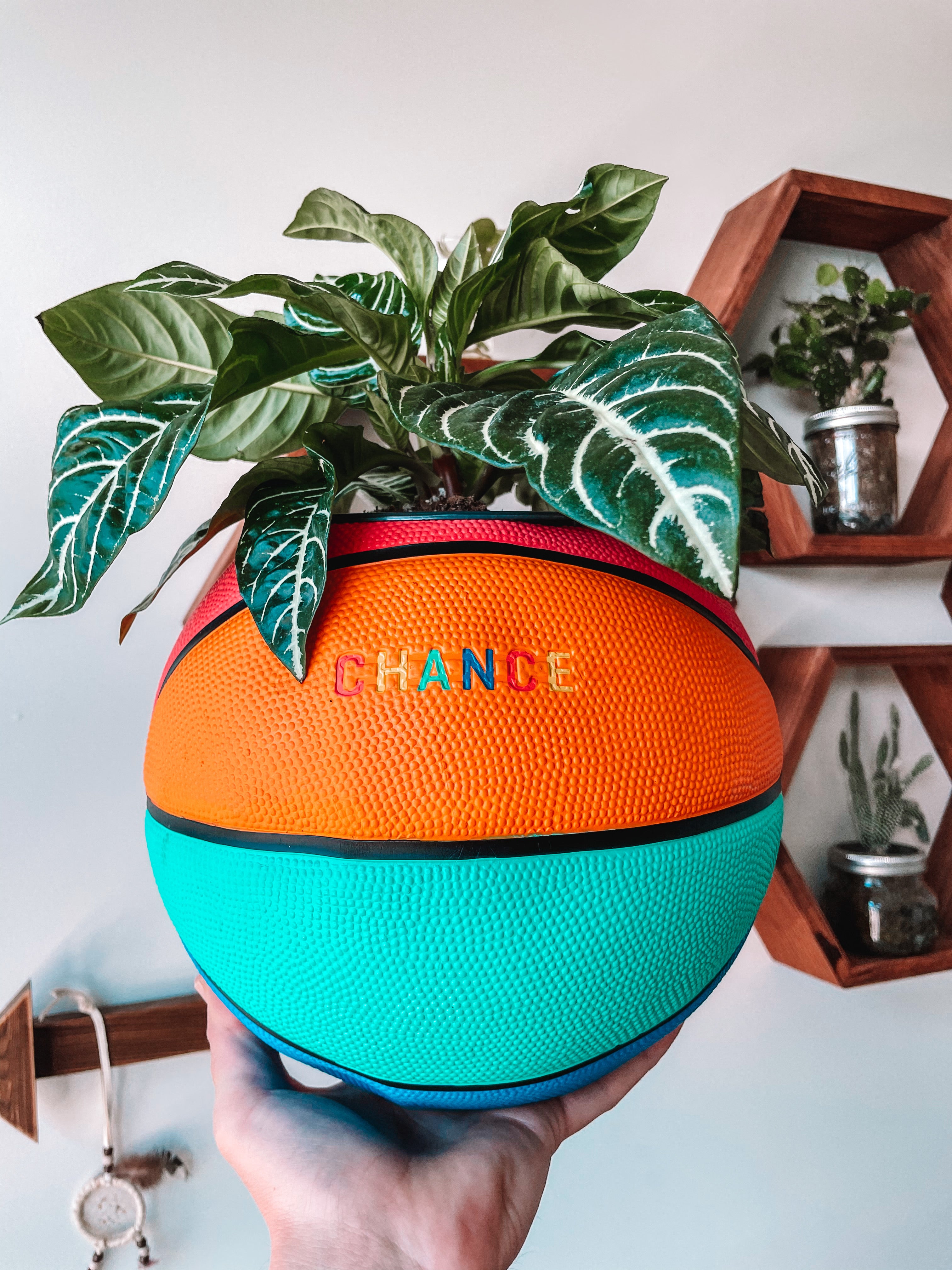 basketball planter pot CHANCE “Juicy” Basketball Planter