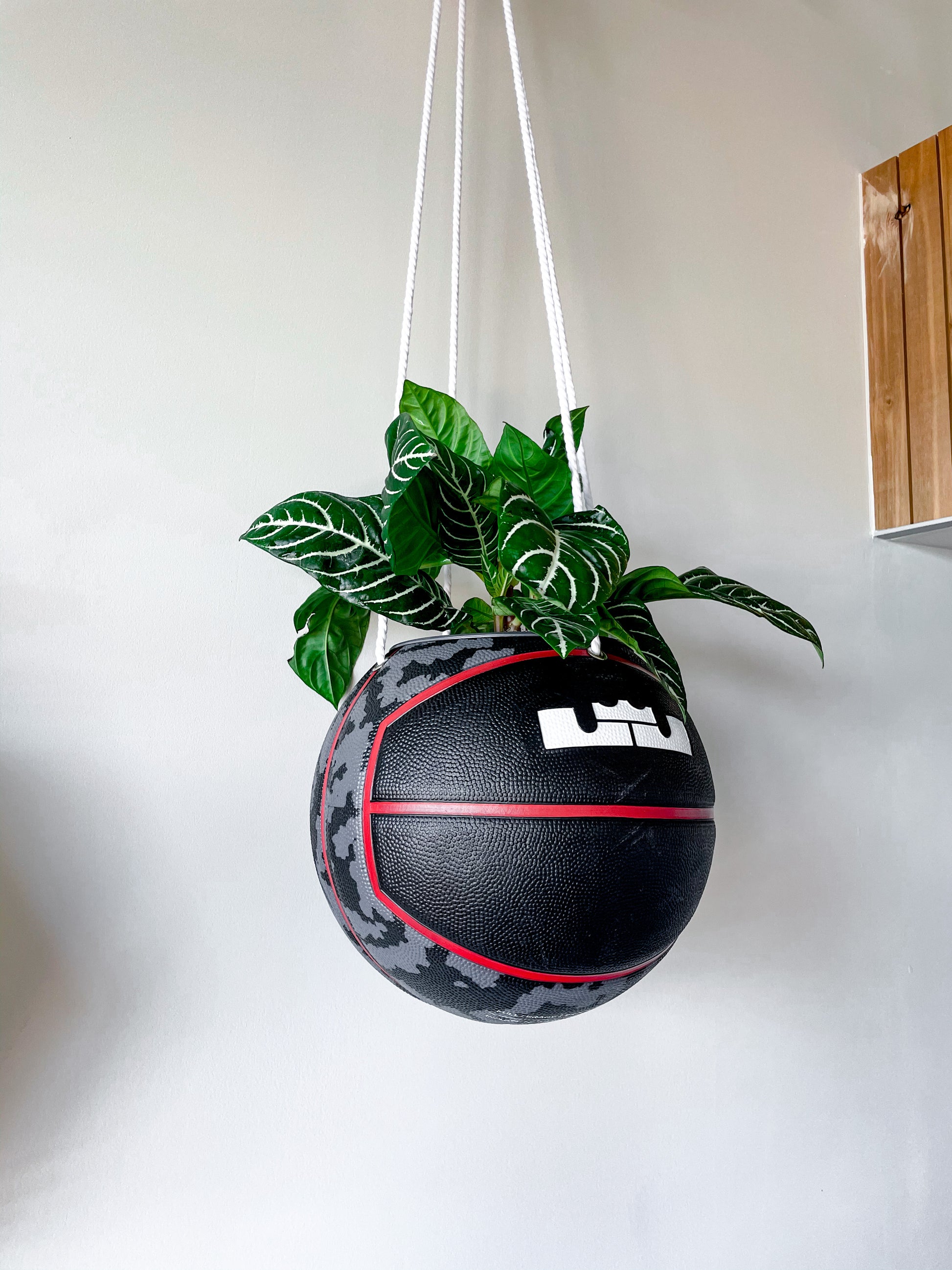 nike planter pot LeBron x Nike Basketball Planter – GoatTalk