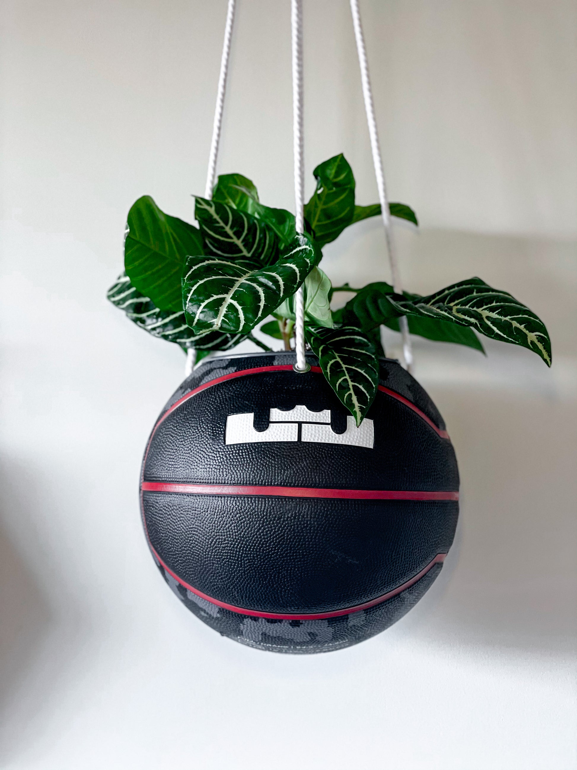 basketball pot plant LeBron x Nike Basketball Planter