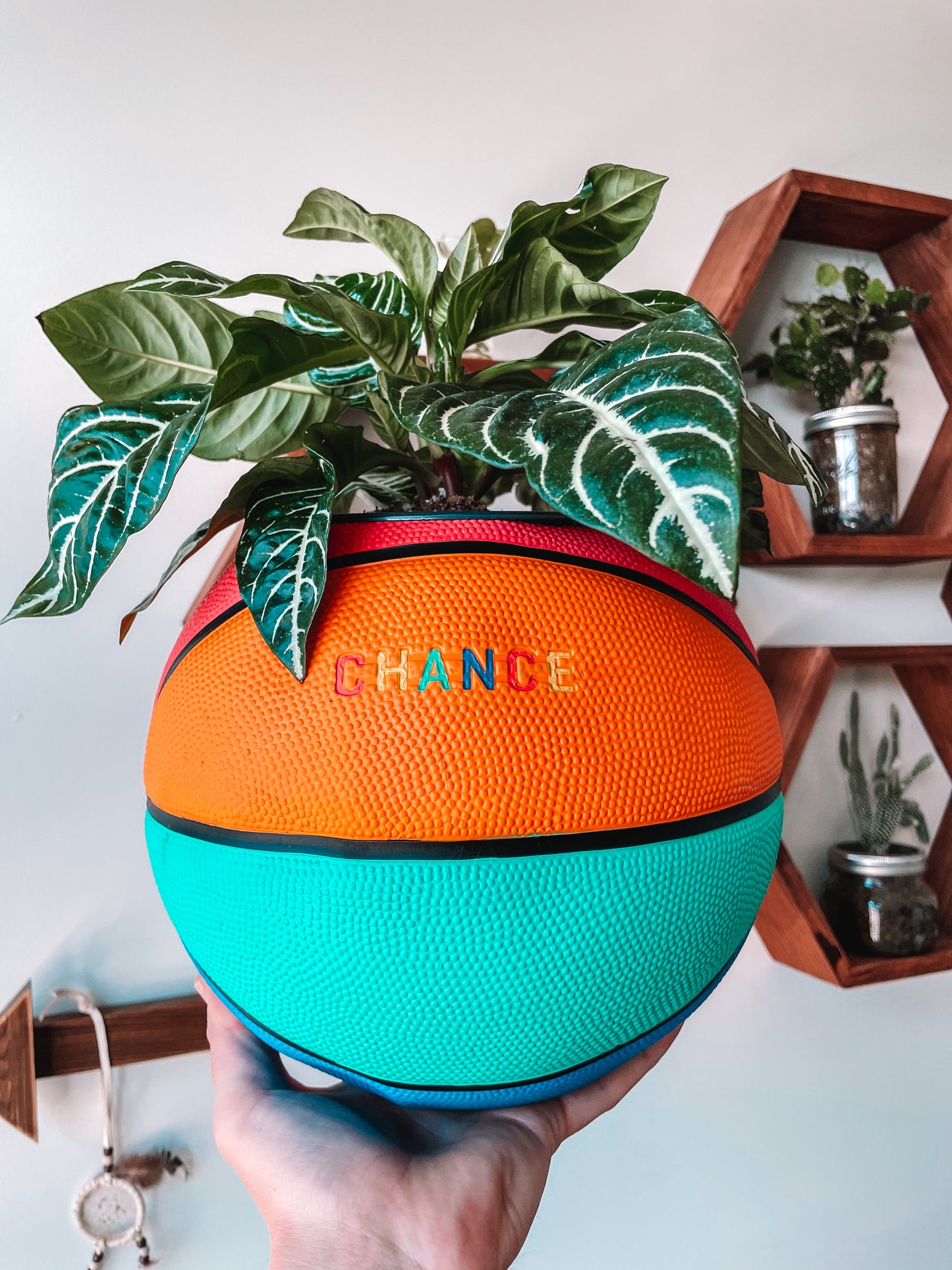 CHANCE “Juicy” Basketball Planter